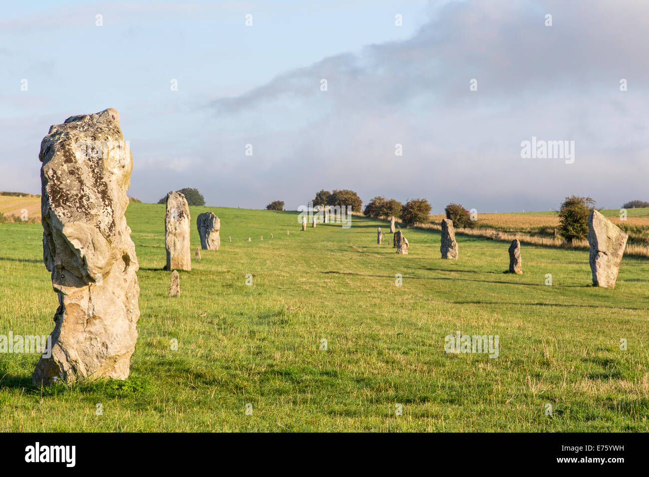 West Kennet Avenue che conduce al Neolitico di Avebury Stone Circle, Avebury vicino a Marlborough, Wiltshire, Inghilterra, Regno Unito Foto Stock