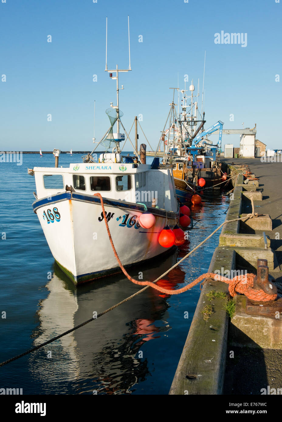 Mare del Nord pesca ormeggiate le navi per la pesca a strascico nel camminare, Northumberland, England, Regno Unito Foto Stock