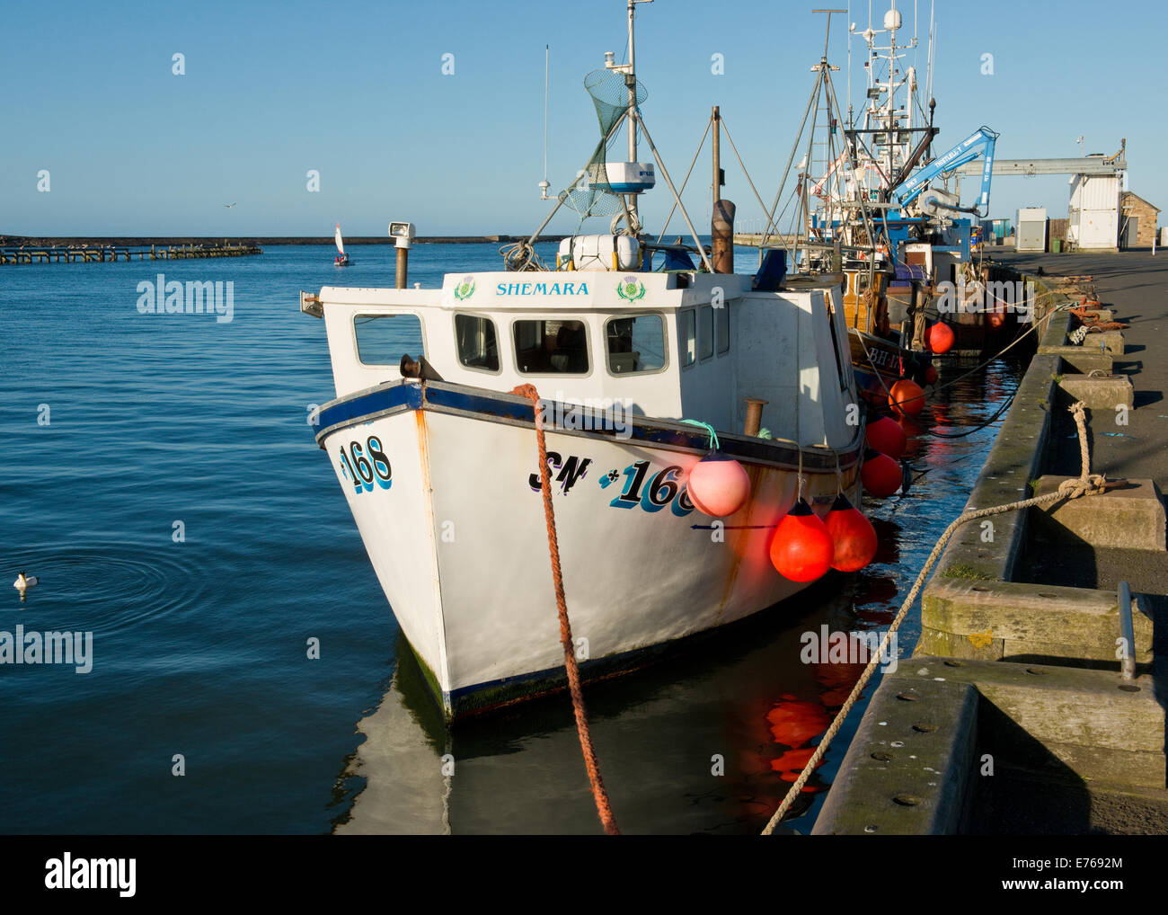 Mare del Nord pesca ormeggiate le navi per la pesca a strascico nel camminare, Northumberland, England, Regno Unito Foto Stock