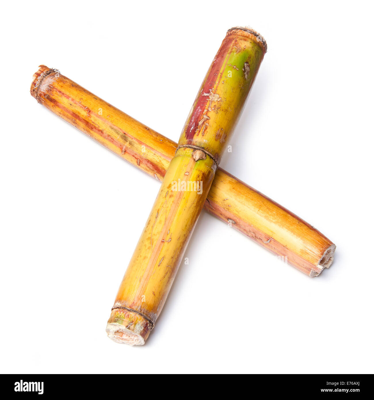 La canna da zucchero fresco isolato su un bianco di sfondo per studio. Foto Stock