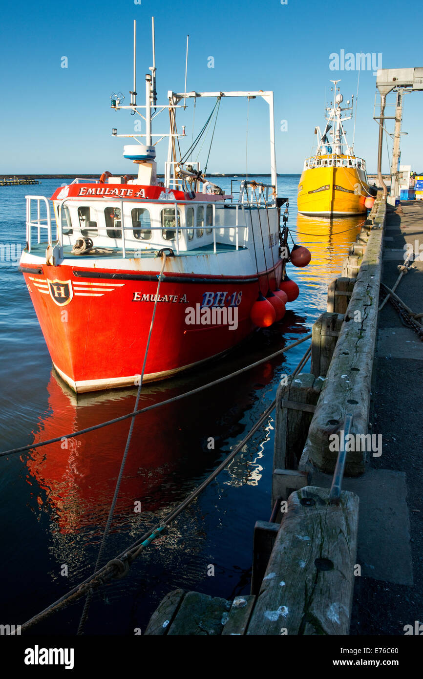 Mare del Nord pesca ormeggiate le navi per la pesca a strascico nel camminare, Northumberland, England, Regno Unito Foto Stock