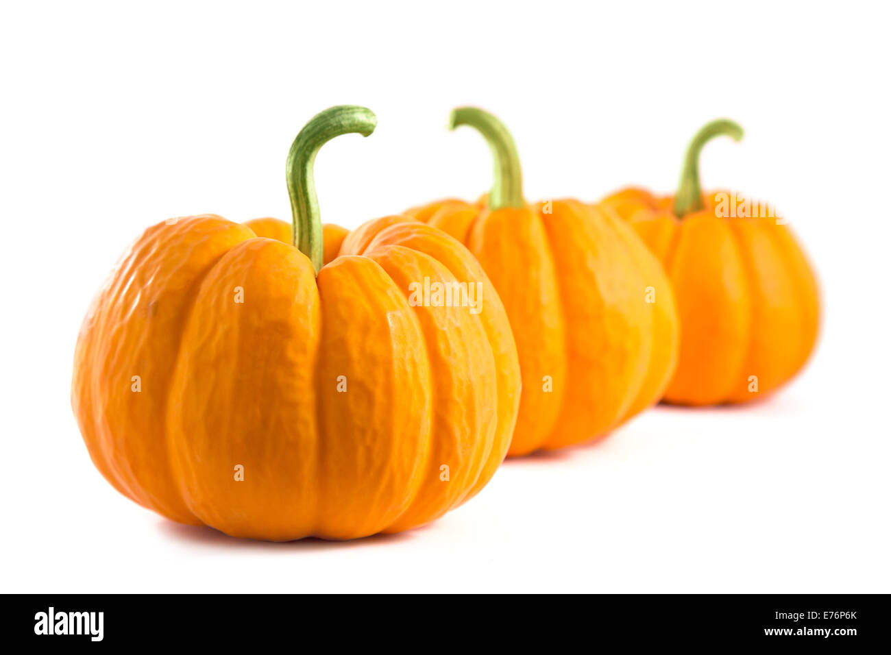 Fila di arancio dolce Zucche, isolati su sfondo bianco Foto Stock