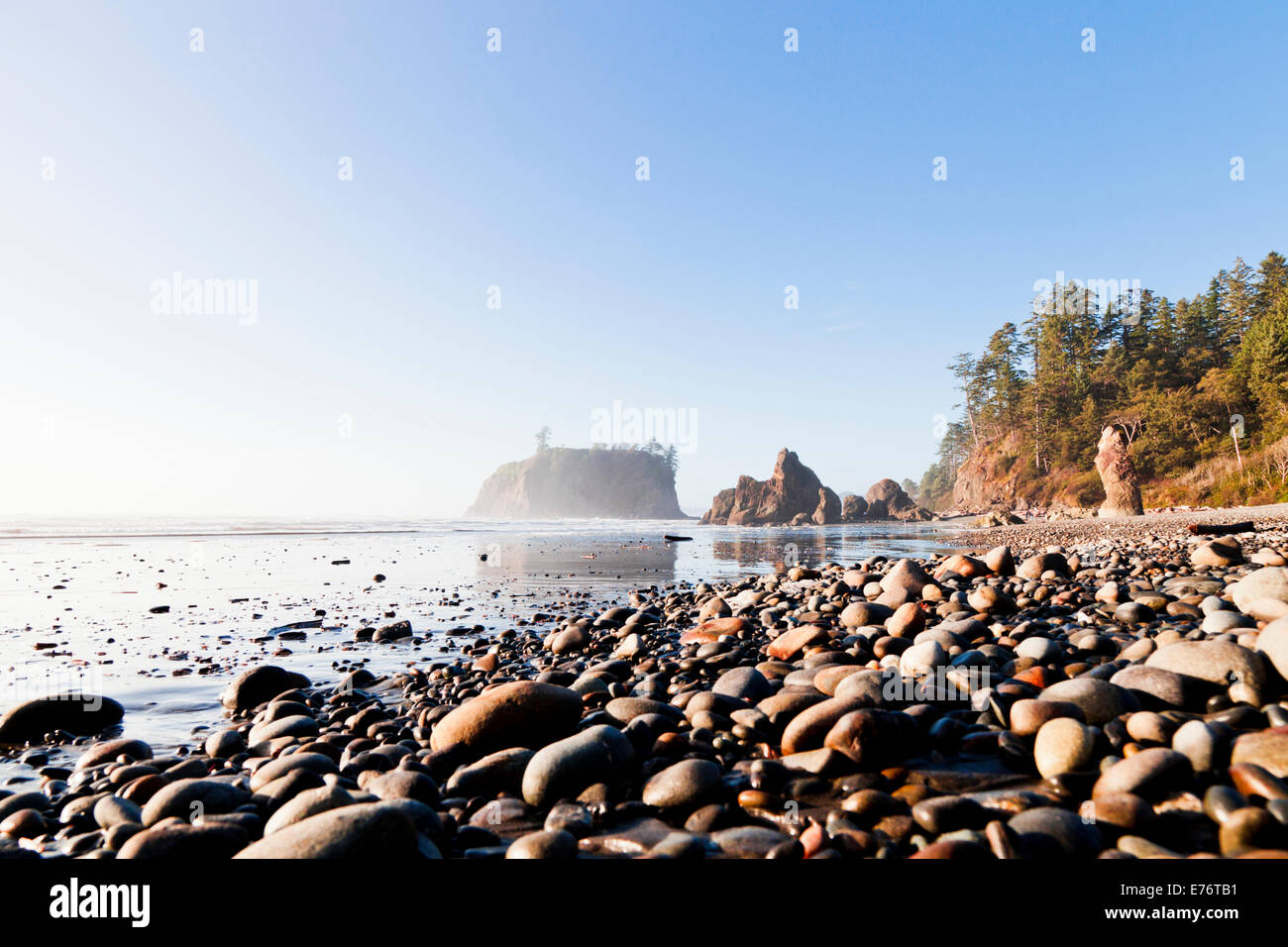 Spiaggia e mare stack al Ruby Beach, Parco Nazionale di Olympic Washington Foto Stock