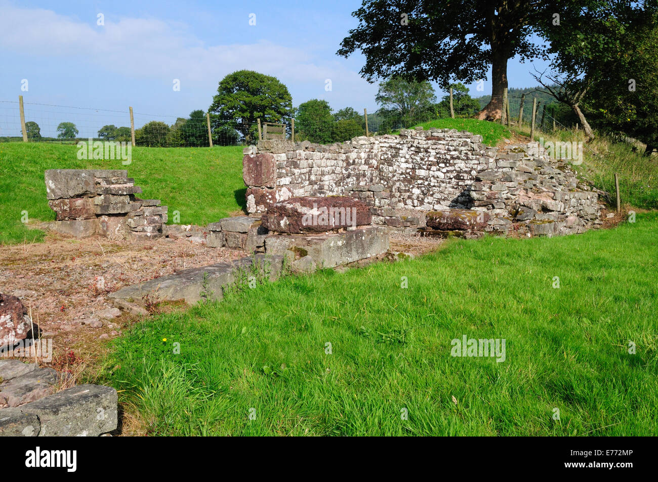 Y Gaer Brecon Gaer Roman Fort collina vicino Aberyscir Brecon Galles Cymru REGNO UNITO GB Foto Stock
