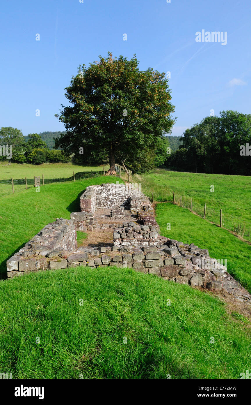 Y Gaer Brecon Gaer Roman Fort collina vicino Aberyscir Brecon Galles Cymru REGNO UNITO GB Foto Stock