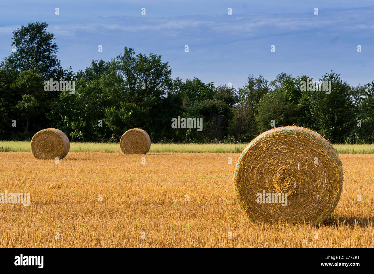 Balle di fieno Foto Stock