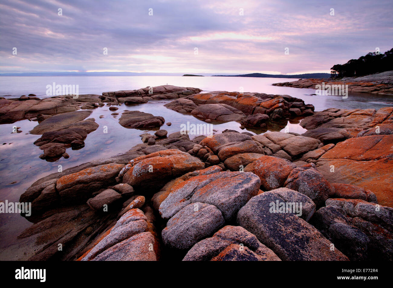 Costa rocciosa Tasmania Australia Foto Stock