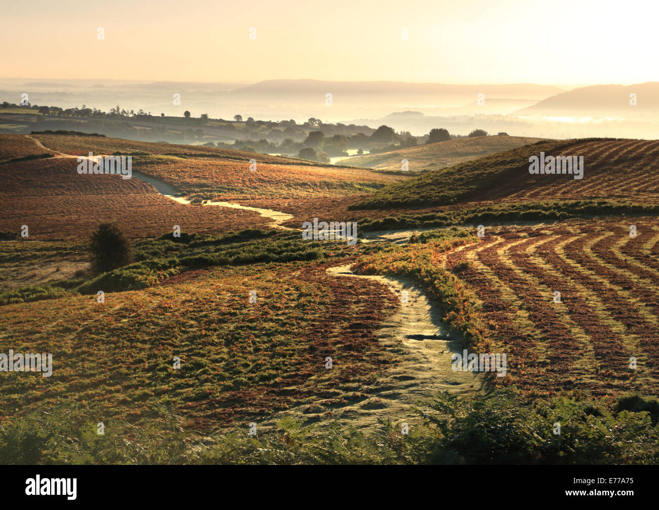 Alba luminosa sunshine attraverso brumoso paesaggio di montagna in Galles Il comune Begwns vicino a Hay on Wye Foto Stock