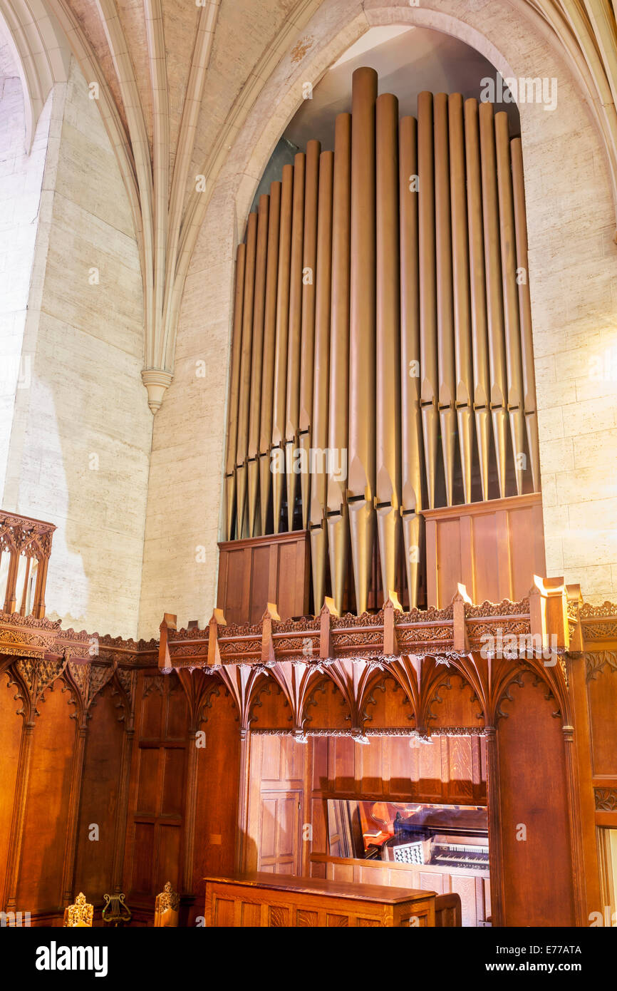 Organi a canne immagini e fotografie stock ad alta risoluzione Alamy