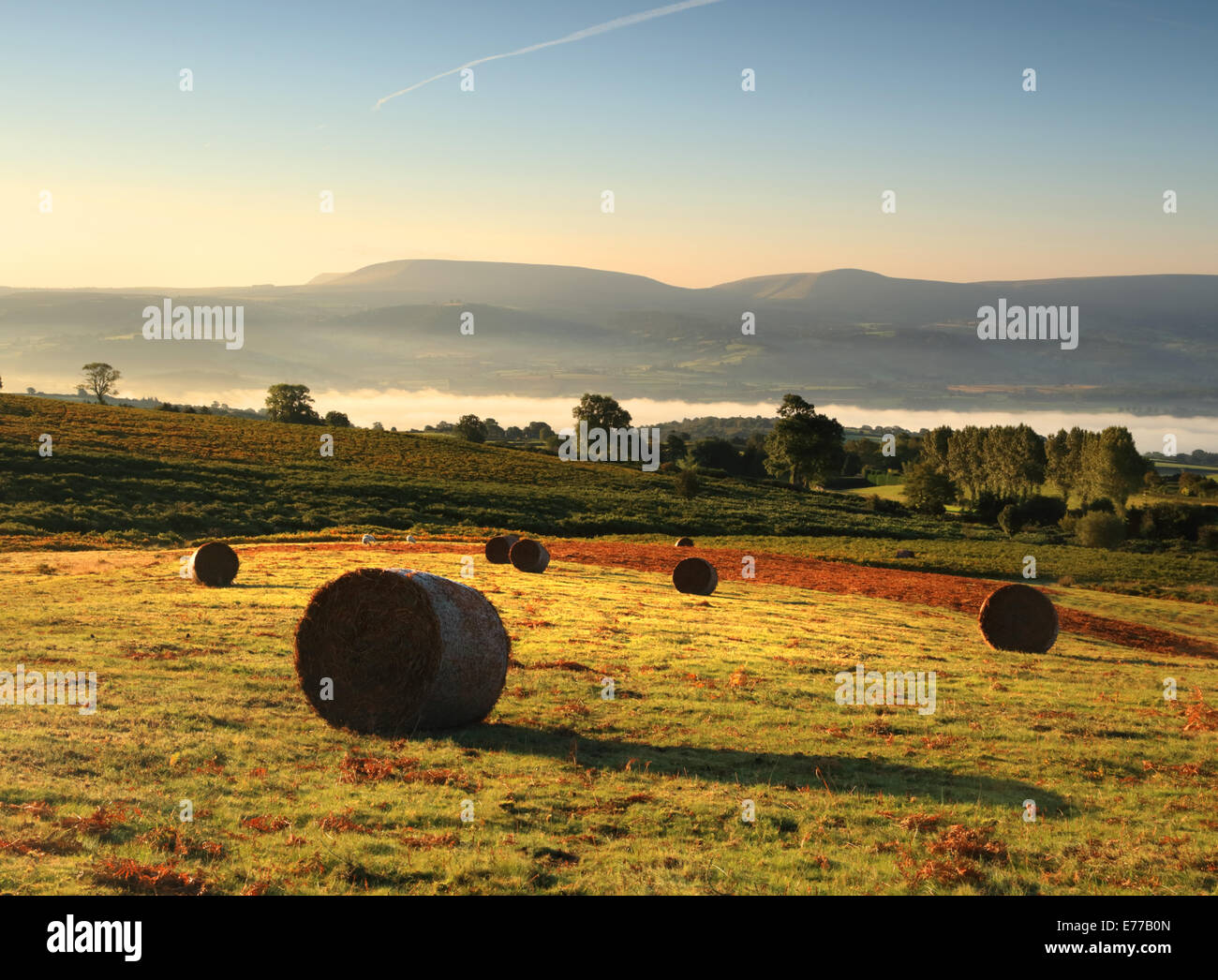Luce del sole di mattina su balle sul Welsh commonland con misty viste, e fieno Bluff e la montagna nera della distanza Foto Stock