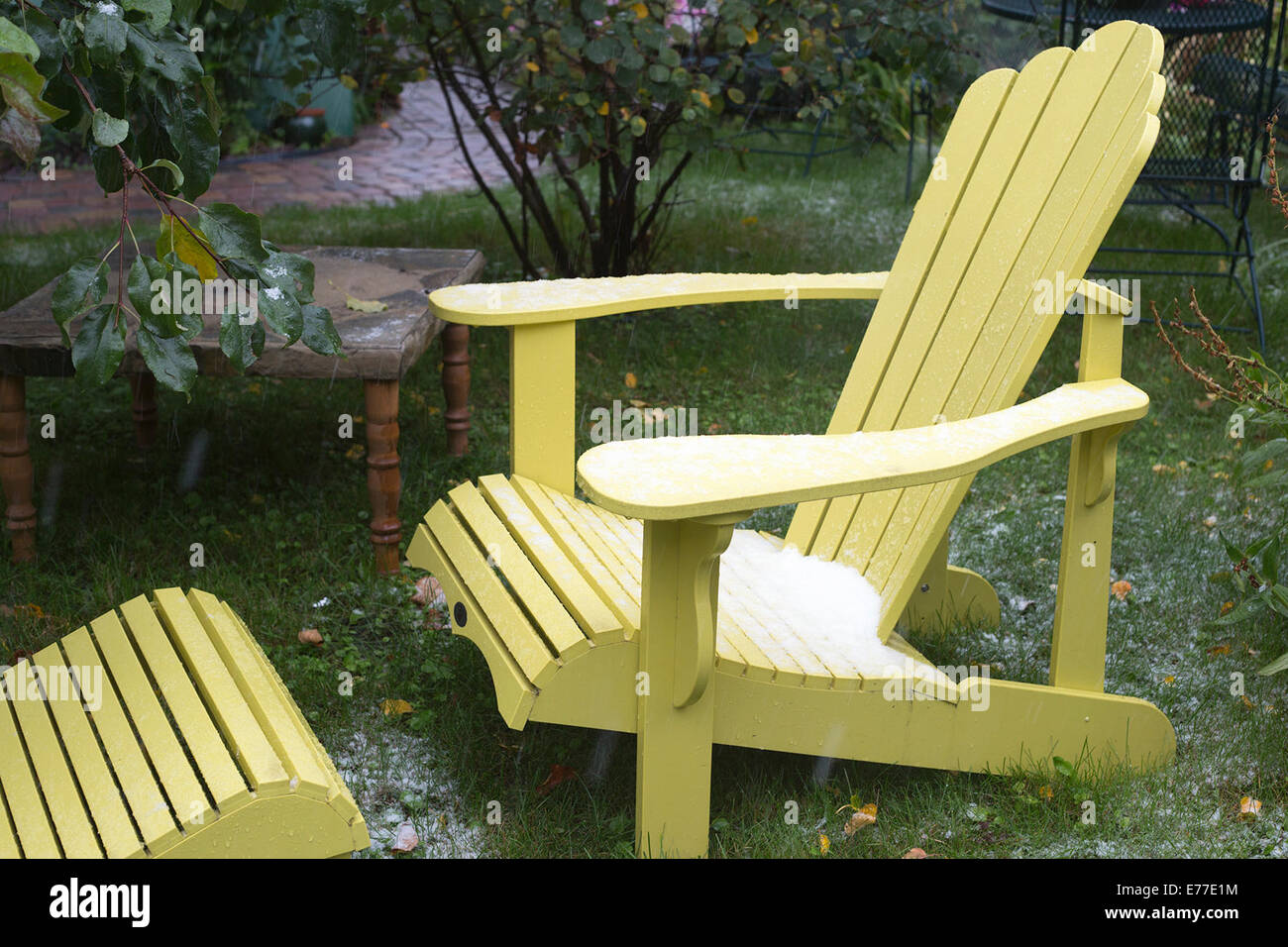 Calgary, Alberta, Canada, 8 Sep, 2014. La prima nevicata della stagione mette fine all'estate con Ambiente Canada predire fino a 5 centimetri di oggi. Questo è un cambiamento brusco da 25 gradi C meteo che Calgarians goduto di ieri. Credito: Rosanne Tackaberry/Alamy Live News Foto Stock