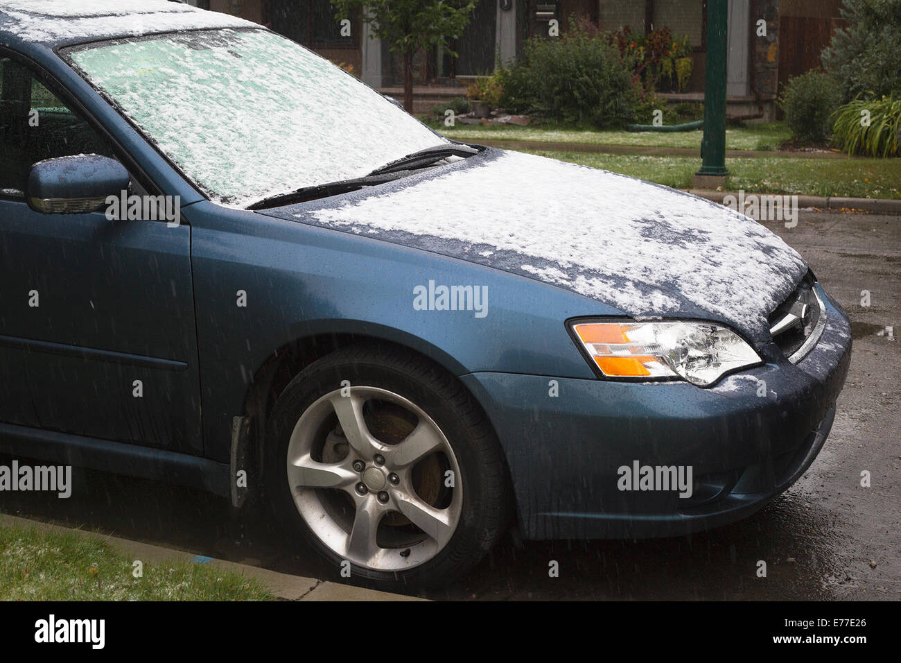 Calgary, Alberta, Canada, 8 Sep, 2014. La prima nevicata della stagione mette fine all'estate con Ambiente Canada predire fino a 5 centimetri di oggi. Questo è un cambiamento brusco da 25 gradi C meteo che Calgarians goduto di ieri. Credito: Rosanne Tackaberry/Alamy Live News Foto Stock