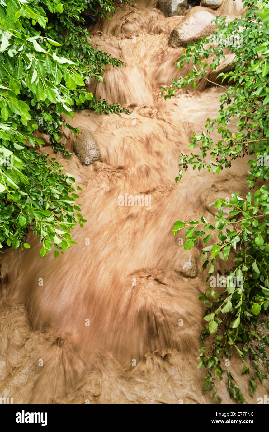 Impetuose acque alluvionali fangosi in un letto di ruscello con motion blur Foto Stock
