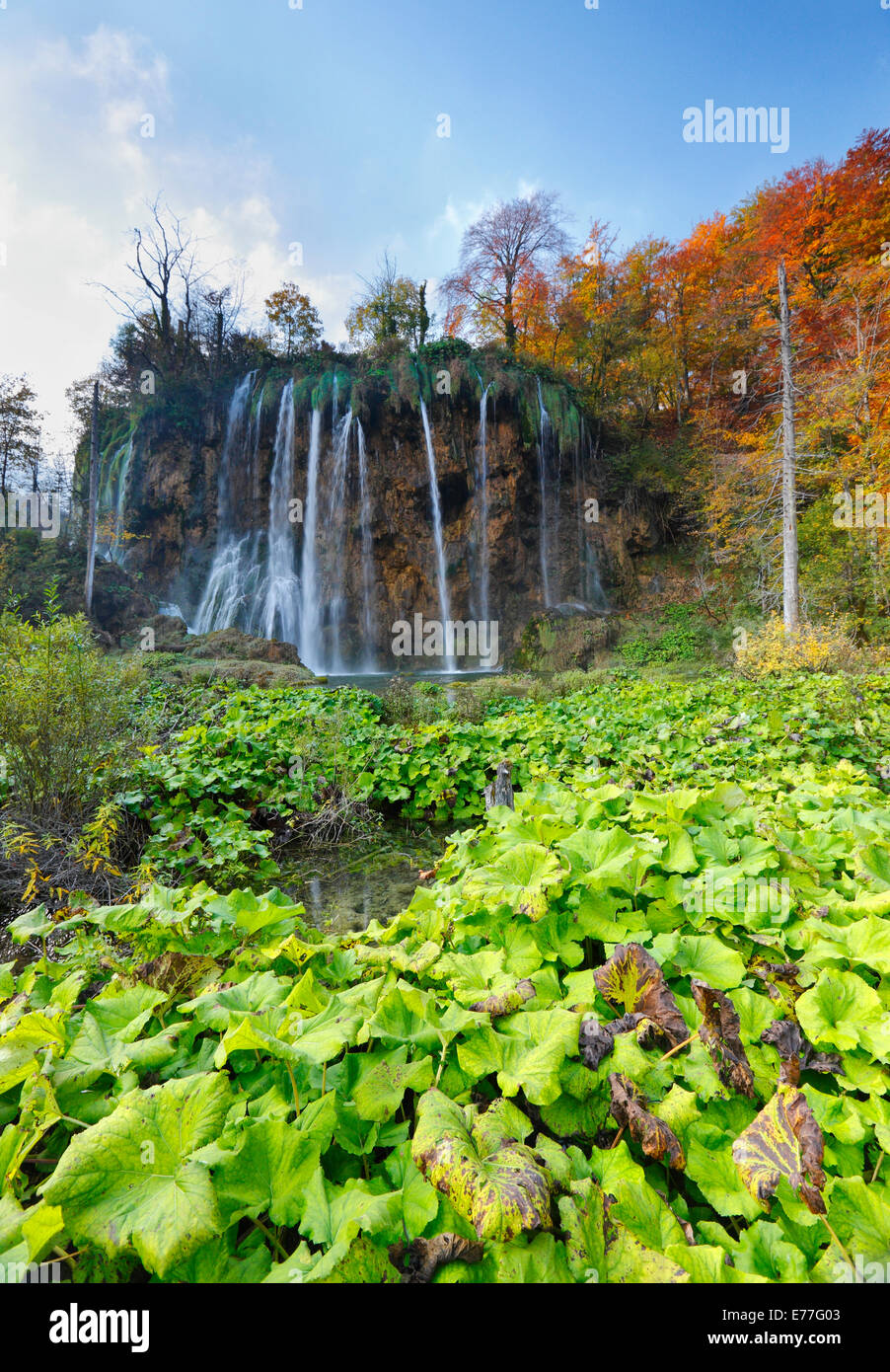 Il parco nazionale dei laghi di Plitvice, Croazia Foto Stock