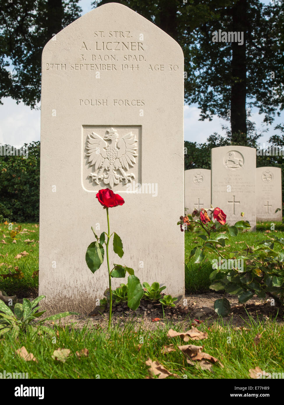 Una tomba di pietra del membro del polacco Airborne Forces al cimitero di guerra degli alleati oosterbeek arnhem Foto Stock