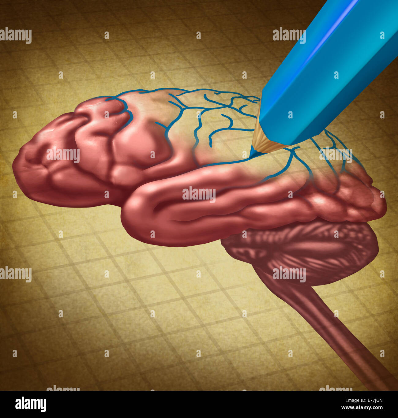 La riparazione del cervello e ripristino perso memoria concetto medico come un pensiero umano organo con una parte mancante essendo ridefinito con una matita blu come un simbolo e metaphor medico per la cura e la ricerca in neurologia o lavaggio del cervello. Foto Stock