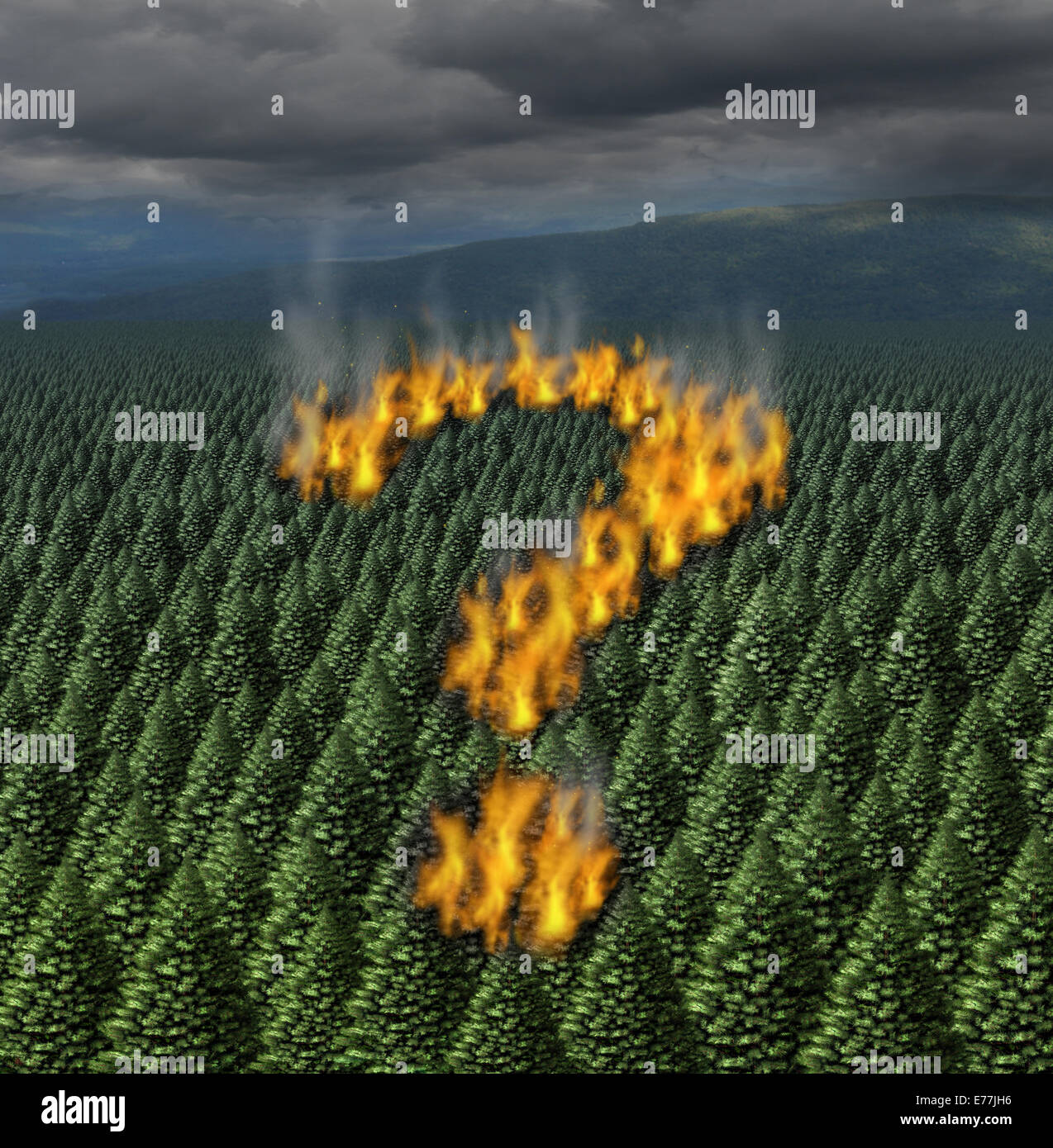 Forest Fire nozione come un infuriano fuochi bruciare attraverso una foresta di pini conformata come un punto interrogativo come un simbolo per le informazioni di sicurezza e le questioni relative alla sicurezza durante un calore secco periodo meteo provocando un disastro ambientale. Foto Stock