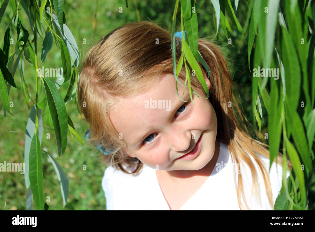 Ragazza con bella coiffure oltre alle foglie di willow Foto Stock