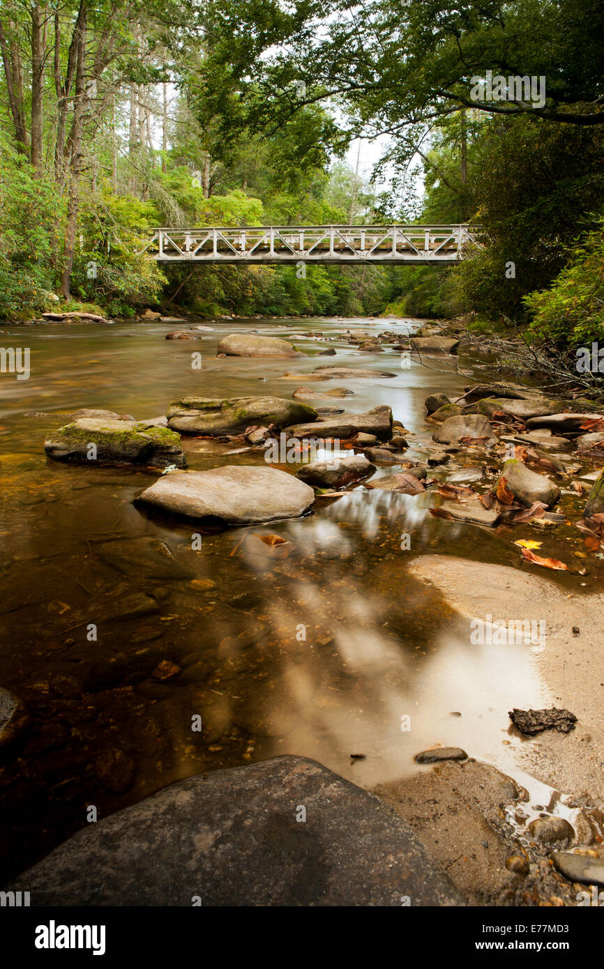 Davidson Fiume - Pisgah National Forest - nei pressi di Brevard, North Carolina, STATI UNITI D'AMERICA Foto Stock