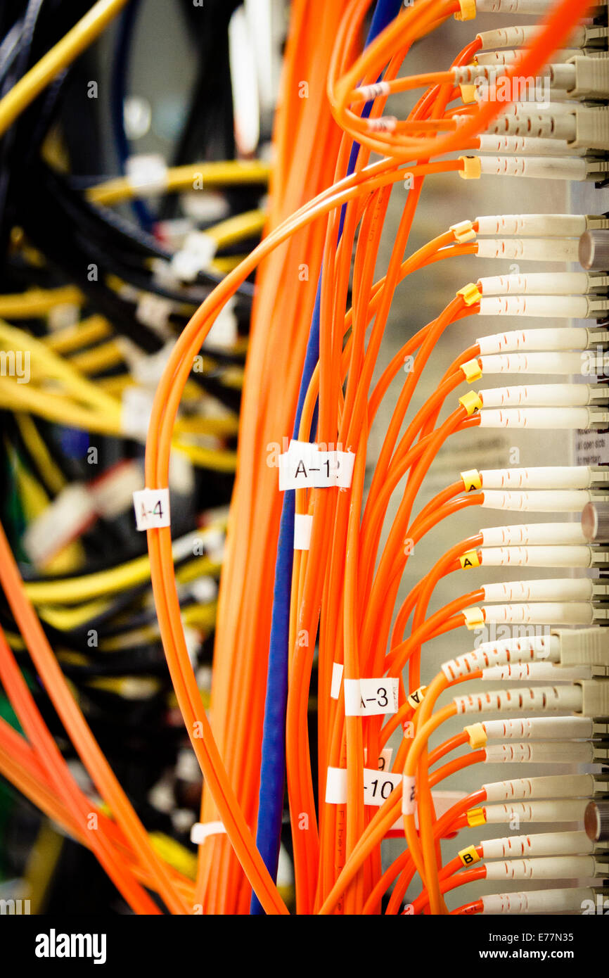 I cavi in fibra ottica inserito in una fascia alta macchina router a un computer i dati di supporto centrale il cloud computing Foto Stock