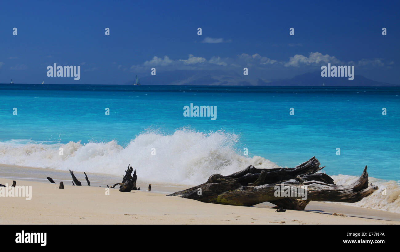 Antigua, Spiaggia, Caraibi, West Indies, sabbia, paesaggio, oceano onde, vela, blu, tropicali, vacanza tropicale, sun, paradise, mare, esotica Foto Stock