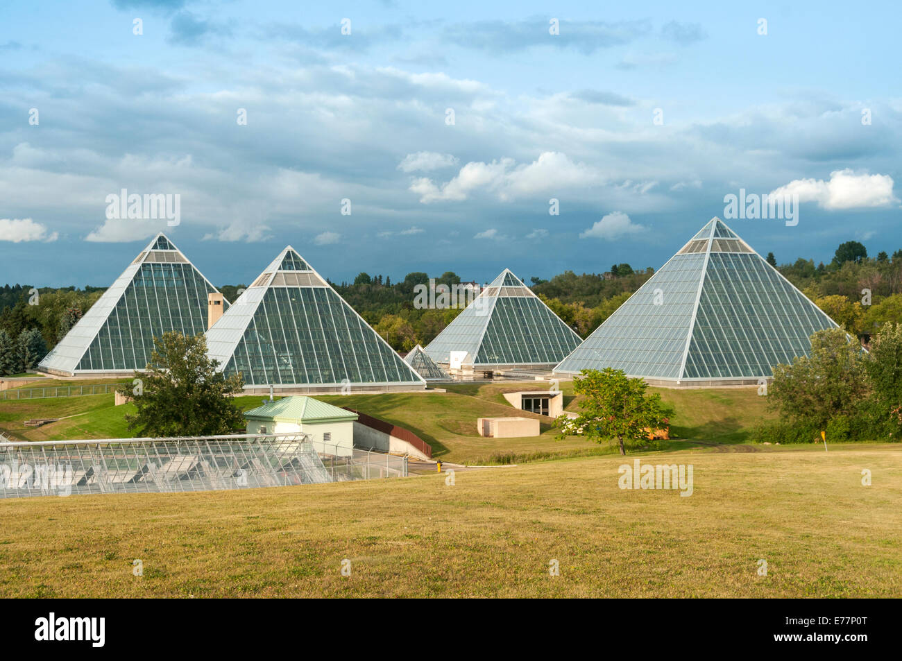 Elk203-5227 Canada, Alberta, Edmonton, Muttart Conservatory Foto Stock