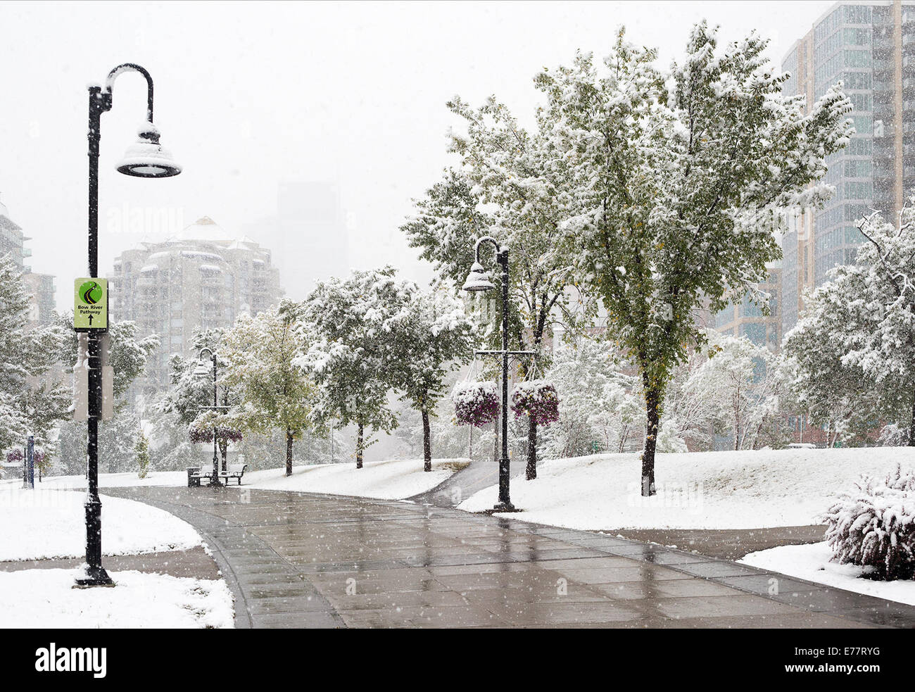 Calgary, Alberta, Canada, 8 Sep, 2014. La prima nevicata della stagione mette fine all'estate lungo il Fiume Bow percorso, con ambiente Canada predire 5-10 centimetri di oggi. Ieri Calgarians goduto 25 grado C meteo. Credito: Rosanne Tackaberry/Alamy Live News Foto Stock