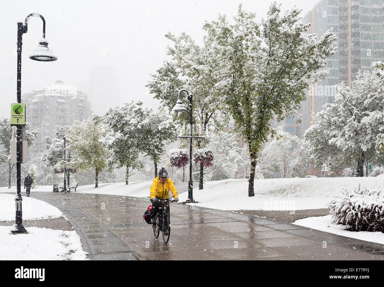 Calgary, Alberta, Canada, 8 Sep, 2014. Un ciclista pedala lungo la porzione di centro del percorso del fiume come la prima nevicata della stagione mette fine all'estate, con ambiente Canada predire 5-10 centimetri di oggi. Ieri Calgarians goduto 25 grado C meteo. Credito: Rosanne Tackaberry/Alamy Live News Foto Stock