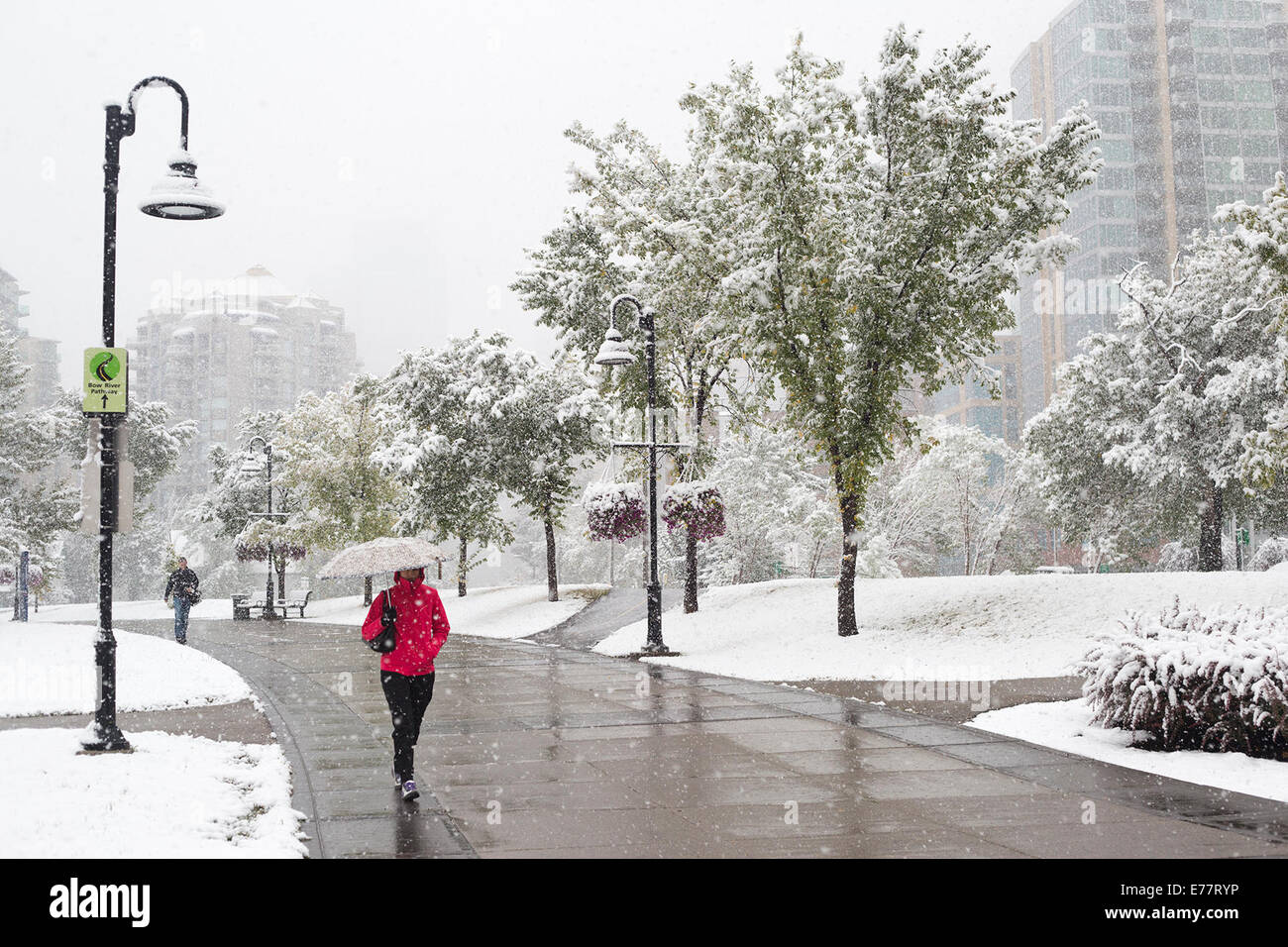 Calgary, Alberta, Canada, 8 Sep, 2014. I pedoni a piedi lungo il centro cittadino di porzione del percorso del fiume come la prima nevicata della stagione mette fine all'estate, con ambiente Canada predire 5-10 centimetri di oggi. Ieri Calgarians goduto 25 grado C meteo. Credito: Rosanne Tackaberry/Alamy Live News Foto Stock