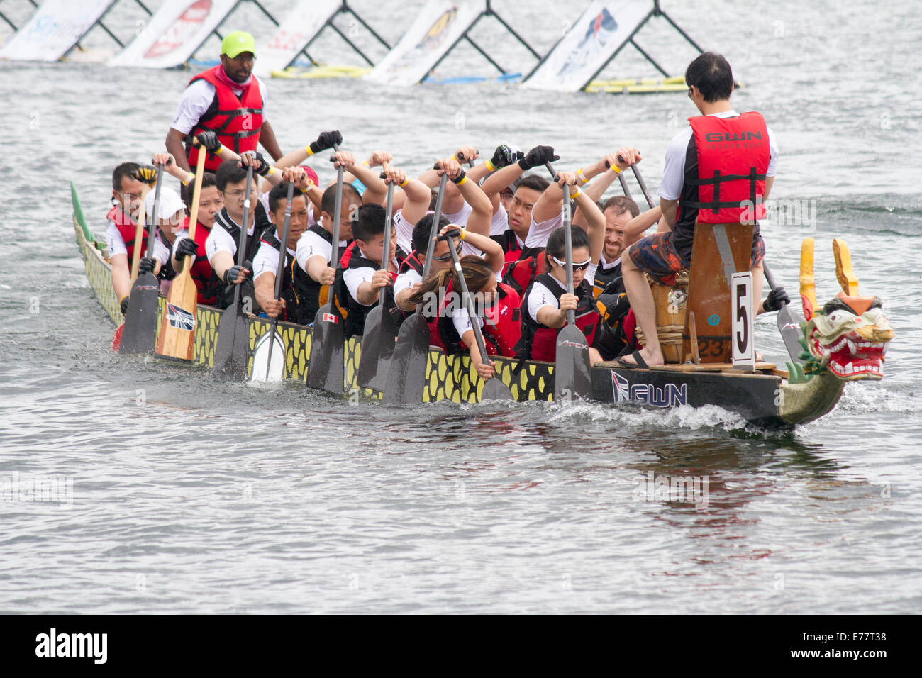 Dragon team in barca a remi a fortemente la GWN Dragon Boat Challenge a Toronto, Ontario Foto Stock