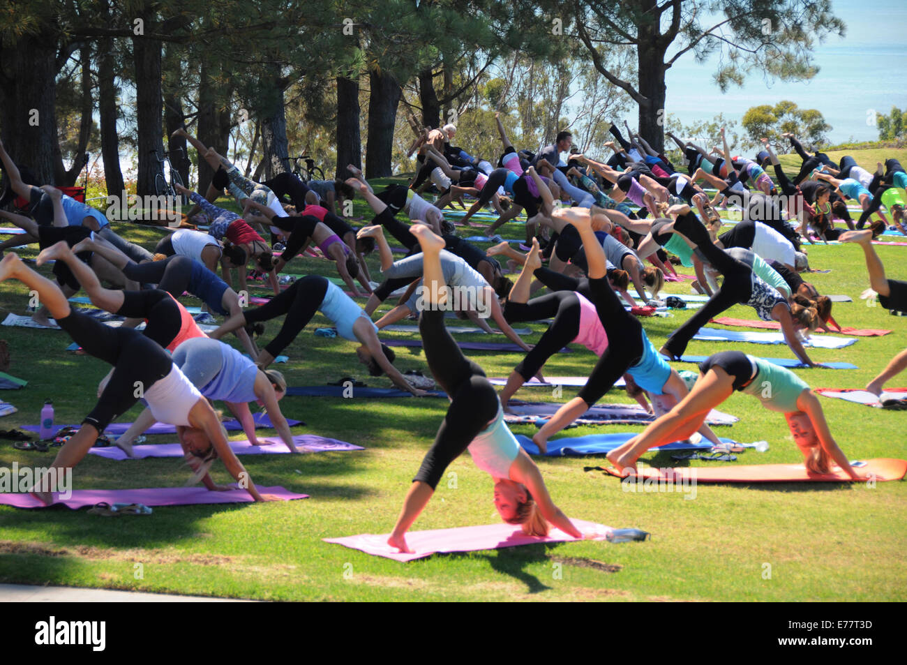 Ogni giorno libero esercizio all'aperto e lezioni di yoga a lanterna Bay Park in Dana Point, California Foto Stock
