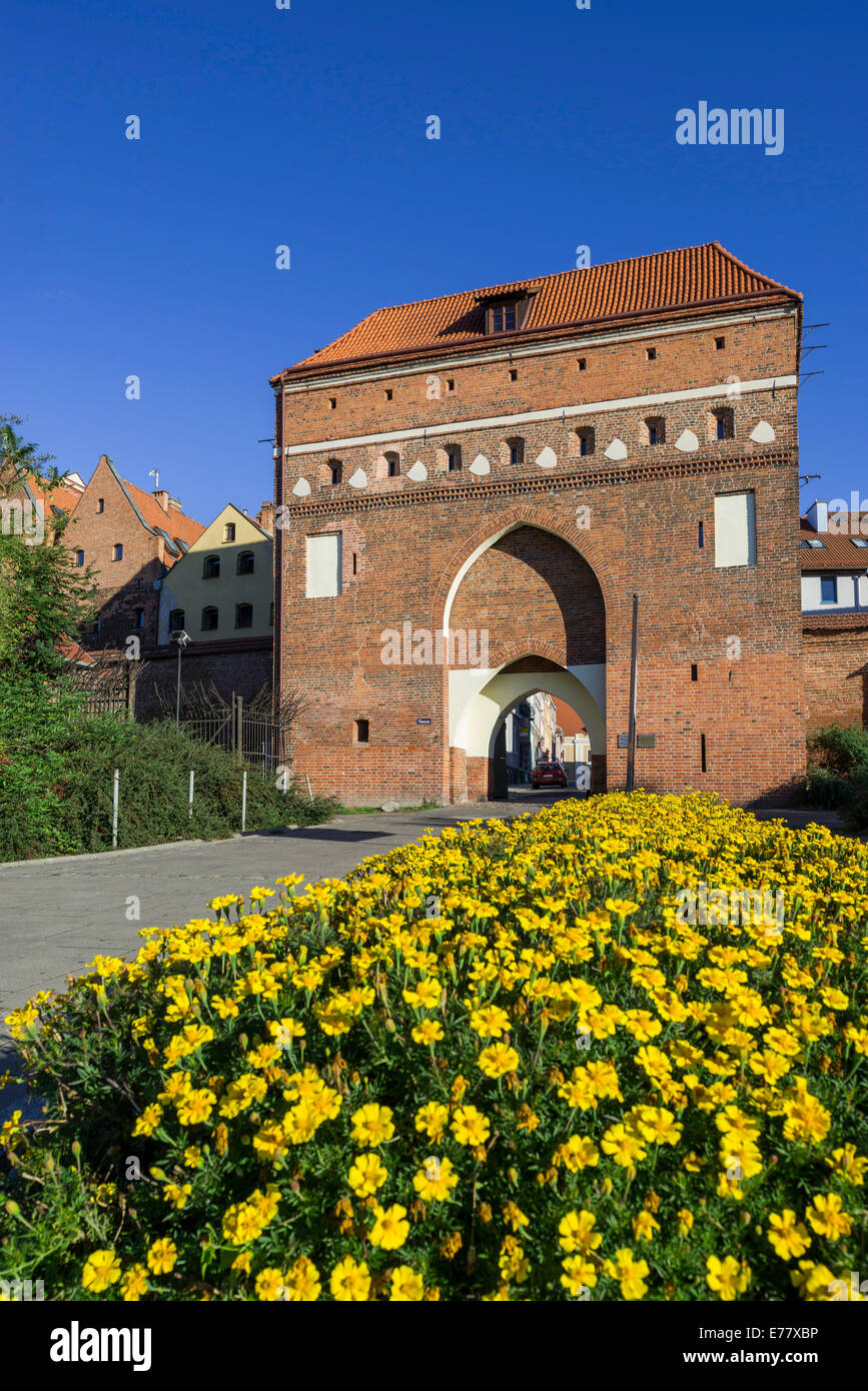 Porta della città di parete, Toruń, Kujawy-Pomerania Provincia, Polonia Foto Stock