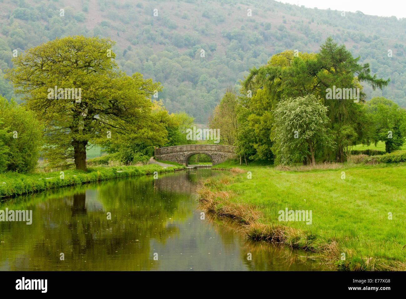 La pittoresca English paesaggio rurale, alberi di quercia e ponte ad arco riflesso in superficie a specchio di corrente che passa attraverso i campi ai piedi della collina boscosa Foto Stock