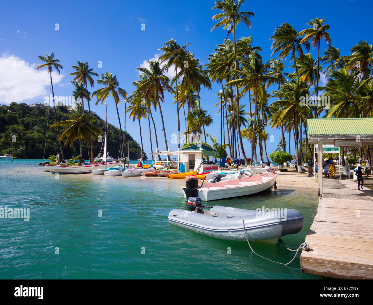 Le palme sulla spiaggia sabbiosa e barche in Marigot Bay, regione di Castries, Santa Lucia isola, Piccole Antille, Isole Sopravento Foto Stock