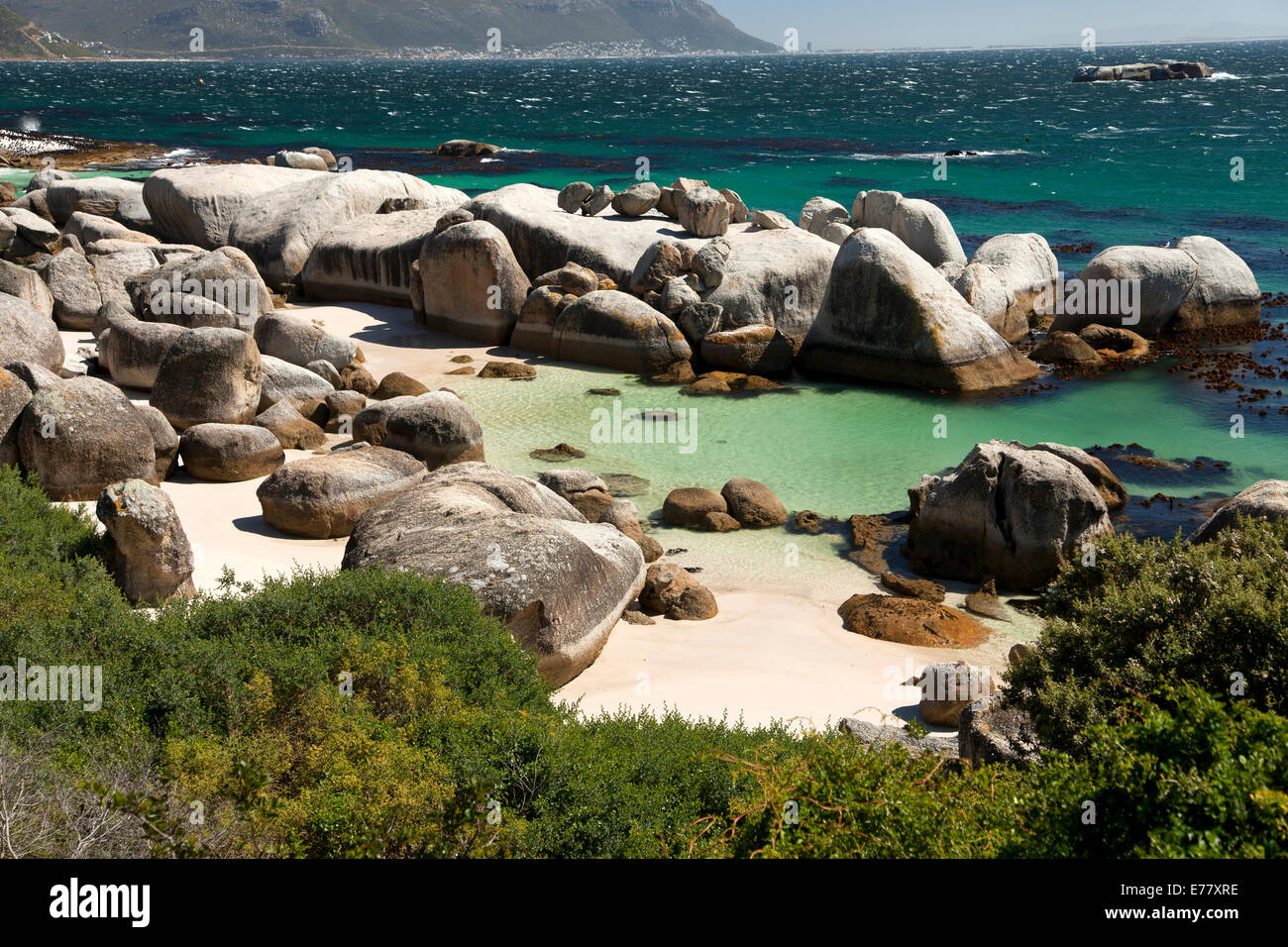 Boulders Beach vicino alla Città di Simon, Cape Town, Western Cape, Sud Africa Foto Stock