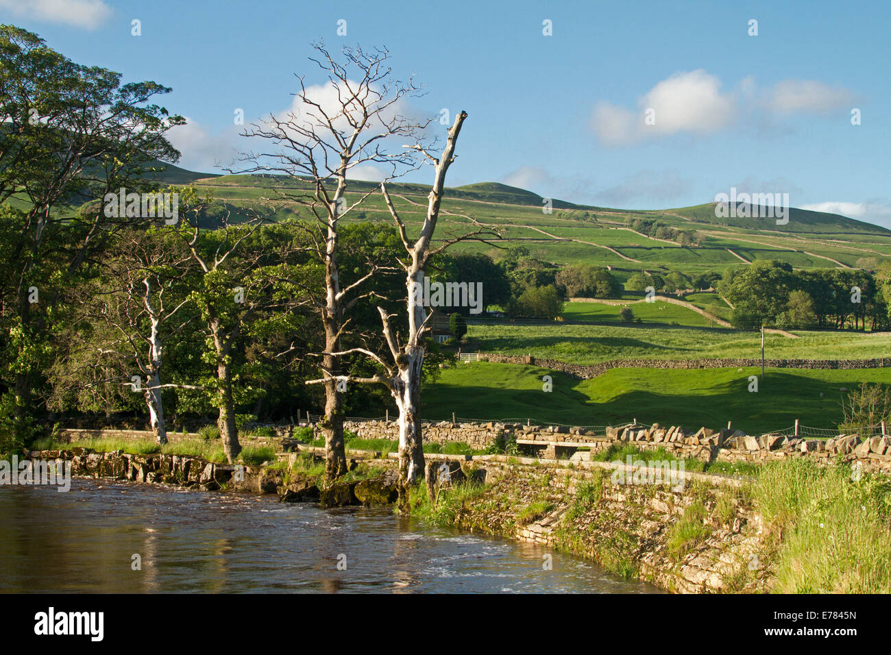 Paesaggio rurale vicino a villaggio inglese di Hawes con campi di smeraldo e fattorie confinanti con acque blu del Fiume Ure e cloaking colline nelle vicinanze Foto Stock