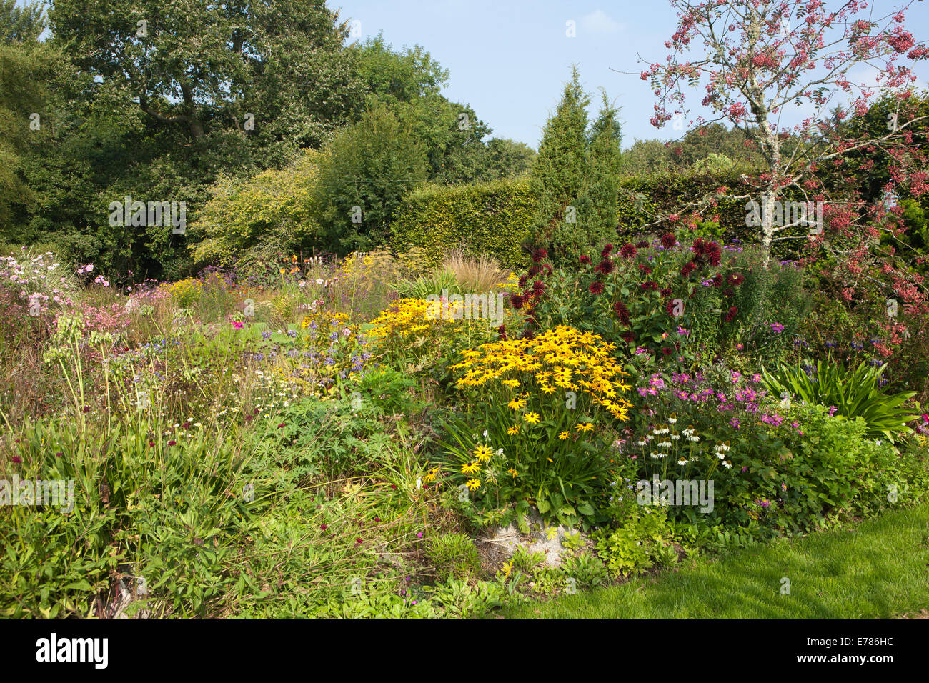 Il giardino a valle nascosta giardini in Cornovaglia su un pomeriggio estati Foto Stock