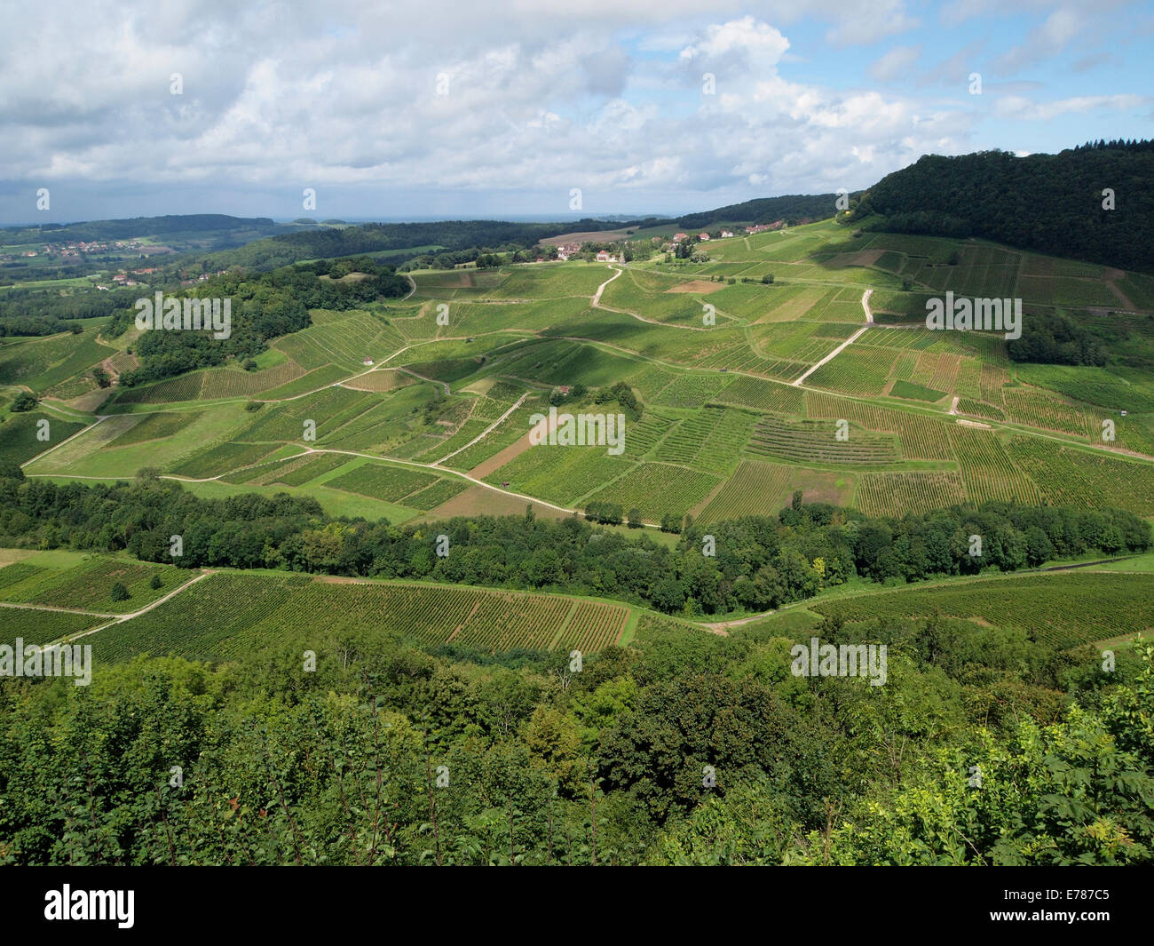 Regione del Giura vigneti tipico paesaggio, vicino a Chateau Chalon, Francia Foto Stock