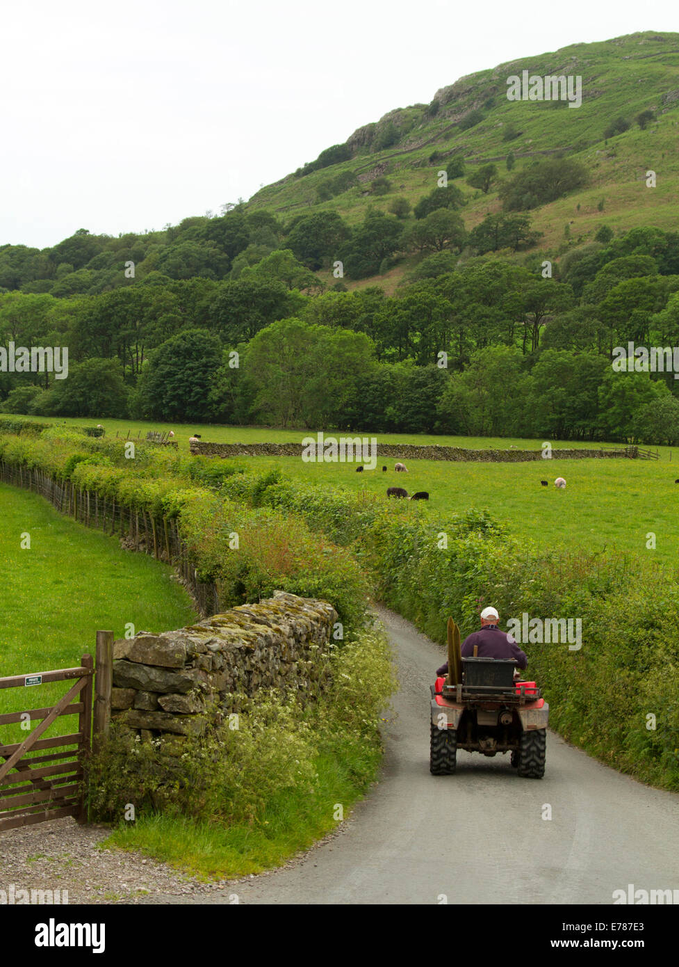 Inglese paesaggio rurale con il contadino su quad bike guida sulla stretta strada fiancheggiata da siepi e circondata da verdi campi e colline Foto Stock