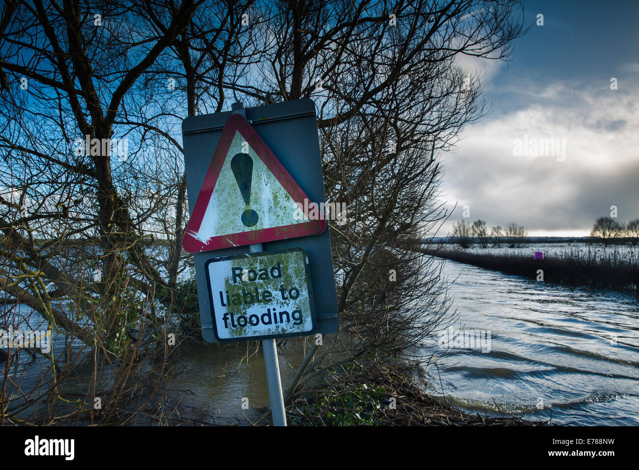 Inondazioni sui livelli di Somerset, Inghilterra, Regno Unito Foto Stock