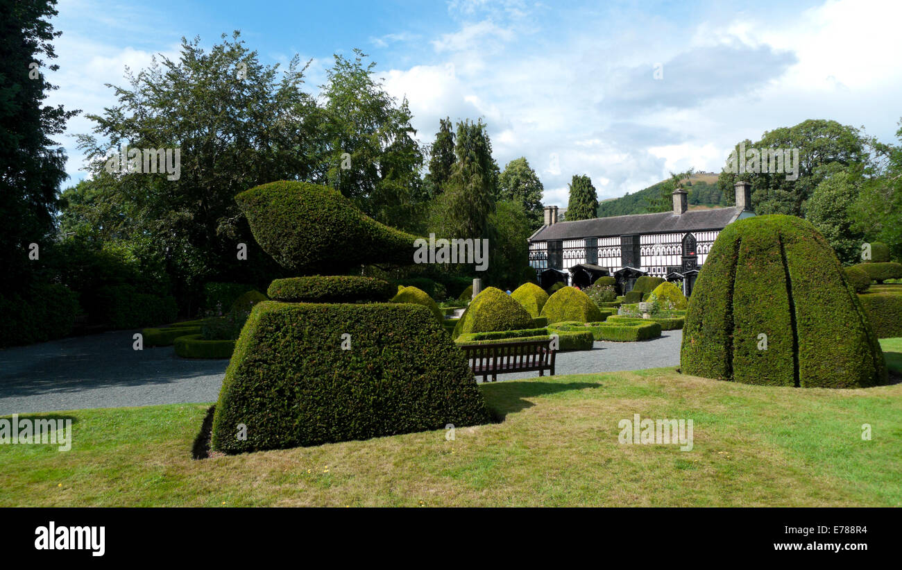 Plas Newydd e topiaria da, casa dei signori di Llangollen in Denbighshire North Wales UK Gran Bretagna KATHY DEWITT Foto Stock