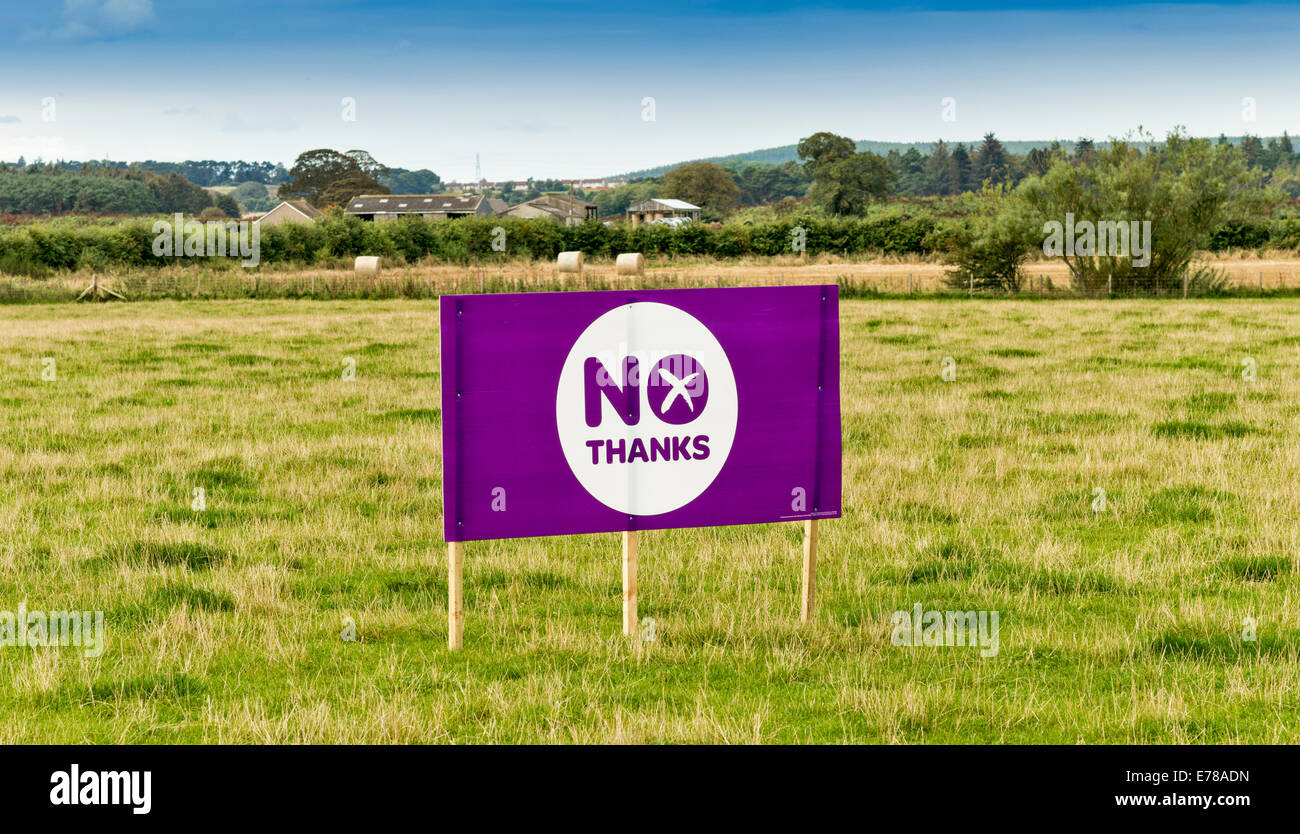 Indipendenza scozzese referendum 2014 viola VOTARE NO GRAZIE SIGN in campi di pascolo vicino al Elgin Moray Foto Stock