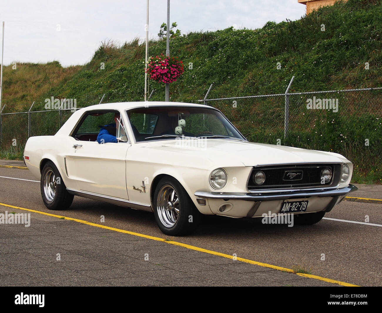 1968 Ford Mustang, licenza AM-82-79 pic2 Foto Stock
