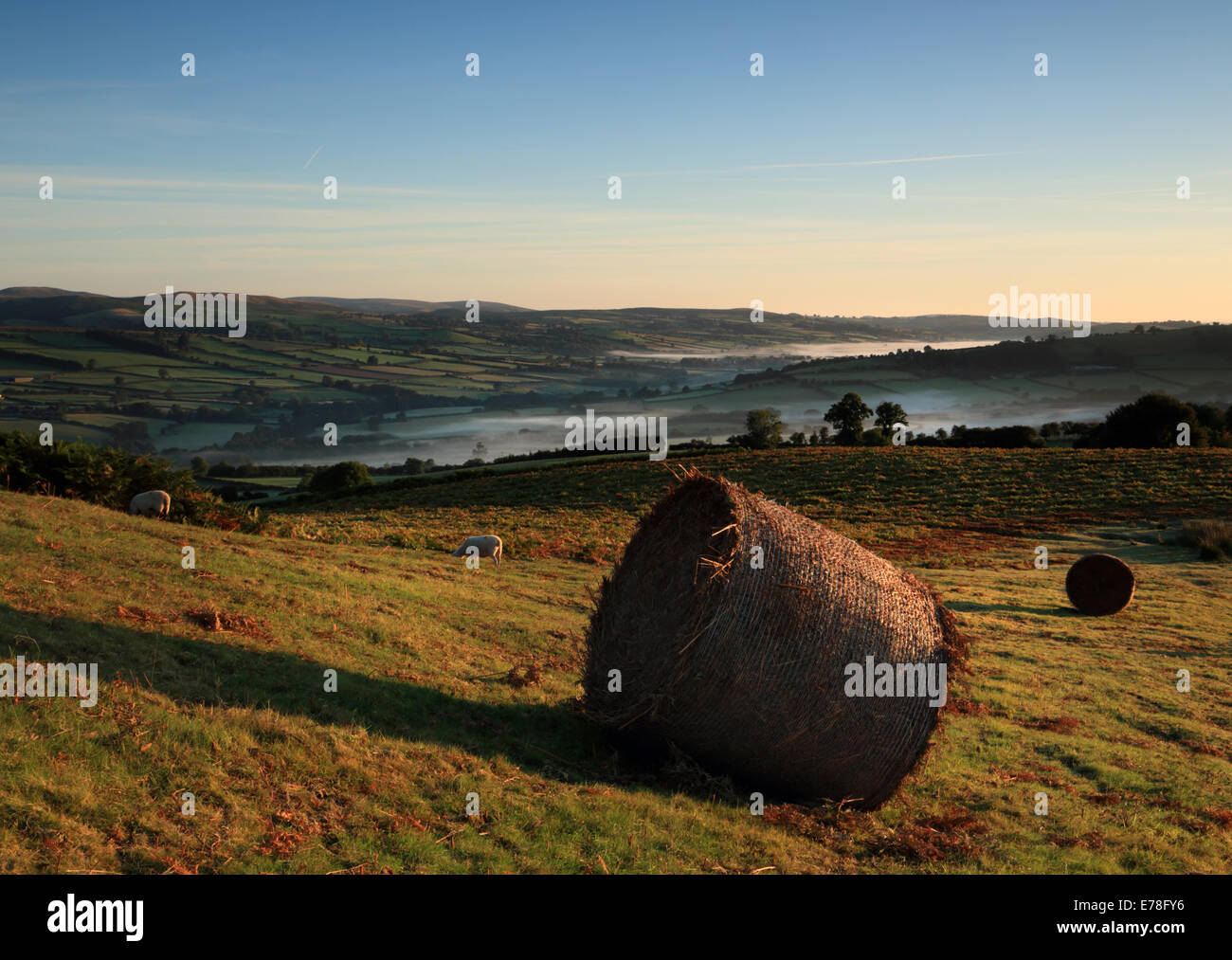 Sunrise over bracken e comuni-terra del Begwns in Galles, vicino a Hay on Wye con vista su prati e nebbiose vallate Foto Stock