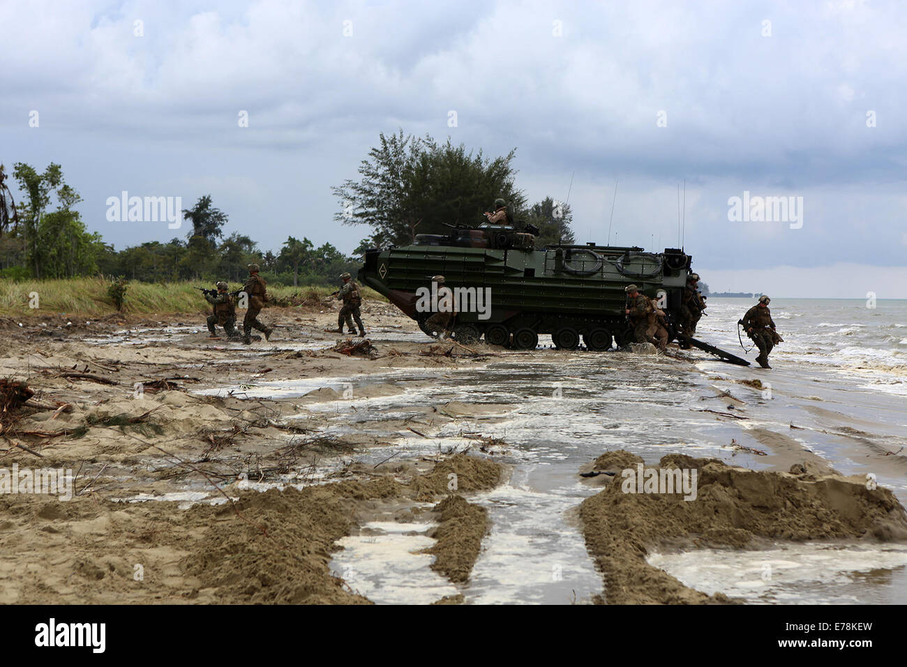 Marines con società di Echo, Battaglione Team di atterraggio secondo battaglione, 1° Marines, undicesimo Marine Expeditionary Unit, e membri del Malaysian Forze Armate smontare Amphibious Assault veicoli e rispondere a un agguato simulato durante Malaysia-United membri Am Foto Stock