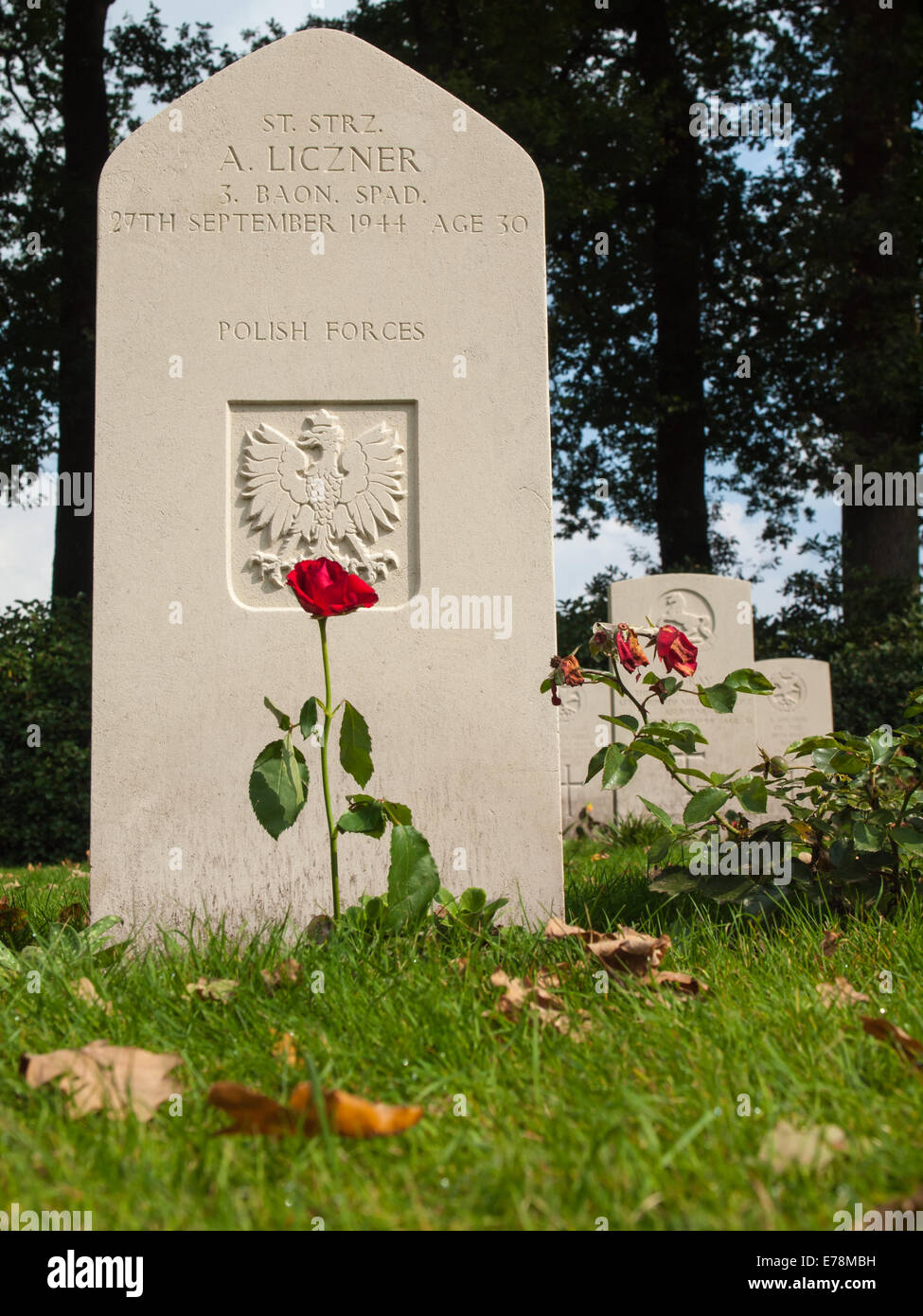 Tomba di pietra del membro del polacco Airborne Forces presso il cimitero di guerra oosterbeek per i caduti della battaglia di arnhem Foto Stock