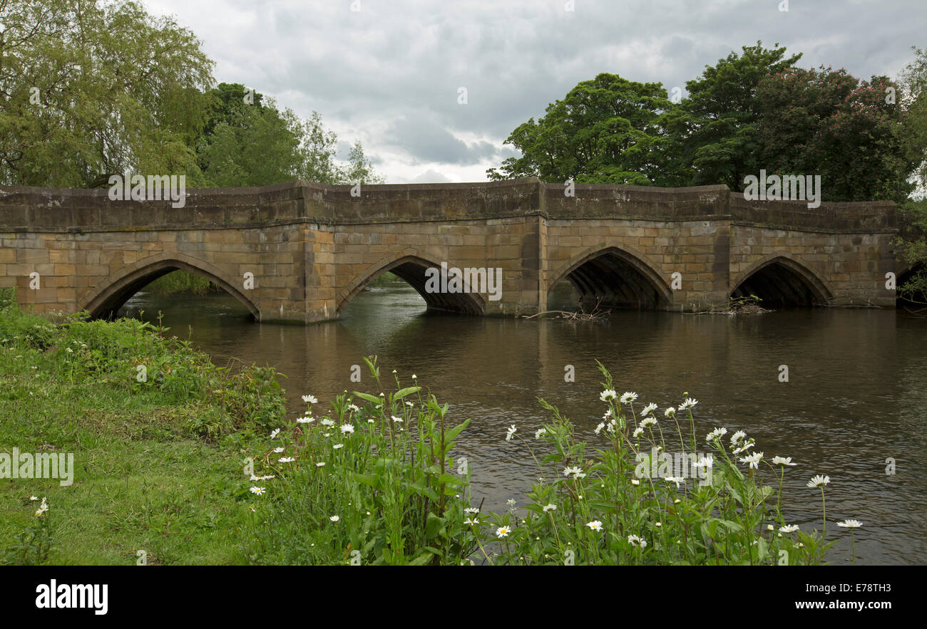 Ornato del XIV secolo ponte ad arco oltre il fiume Wye a villaggio inglese di Bakewell con grappoli di fiori selvatici in riverbank Foto Stock
