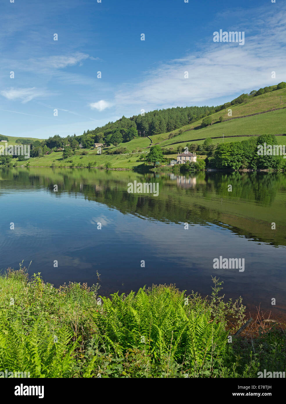 Lago Ladybower serbatoio sul fiume Ashop con cielo blu riflessa in acqua calma delimitata da boschi e campi di fiori selvatici, Derwent Valley, Inghilterra Foto Stock