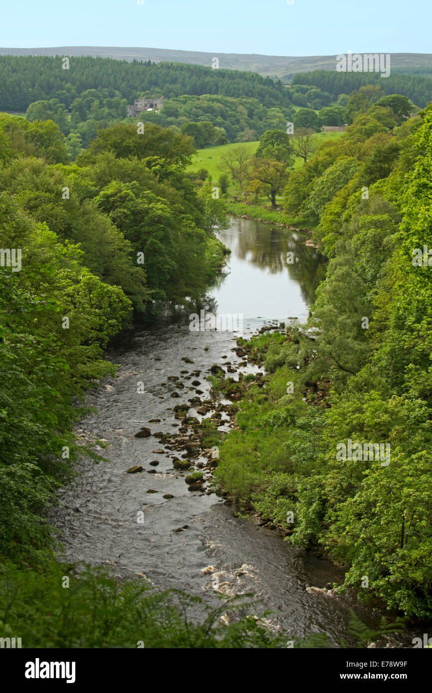 Vista dall'alto punto di vantaggio di inglese del paesaggio rurale e fiume Wharfe affettatura attraverso l 'hotel Astrid boschi sul vasto Bolton Abbey Estate Foto Stock