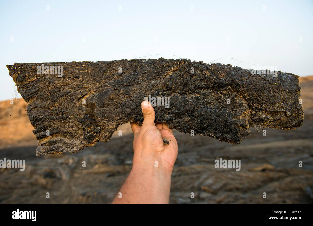 Riolite- una roccia vulcanica (o) di lava che caratteristicamente è di colore chiaro nell'Erta Ale cratere vulcanico. Foto Stock